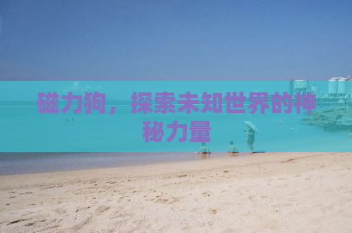 磁力狗，探索未知世界的神秘力量