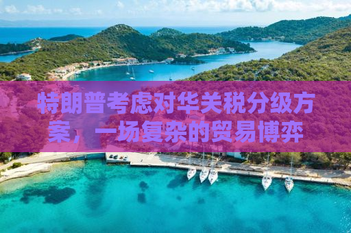 特朗普考虑对华关税分级方案，一场复杂的贸易博弈